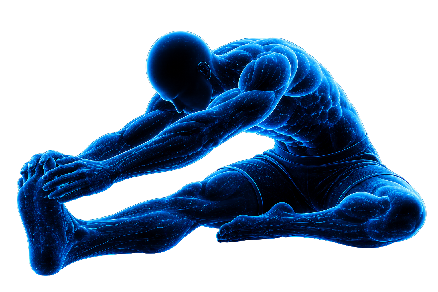 Anatomical figure representing recovery